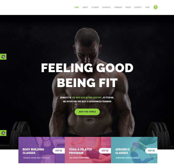 fit-fab-premium-wordpress-theme