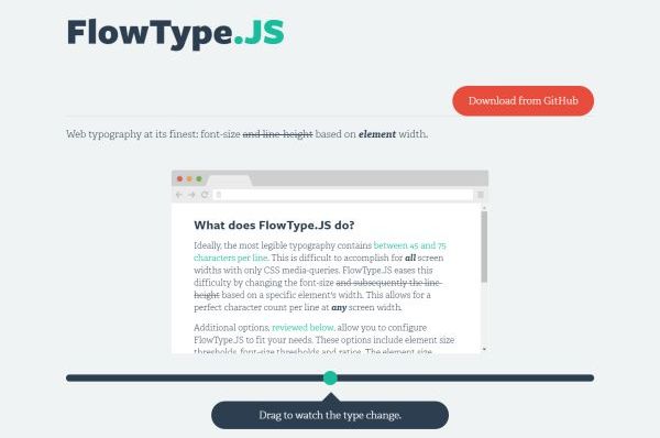 flowtype-js