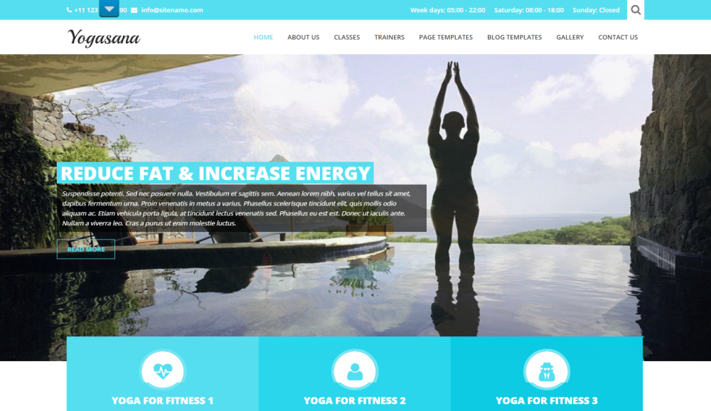 yogi-lite-free-wordpress-theme