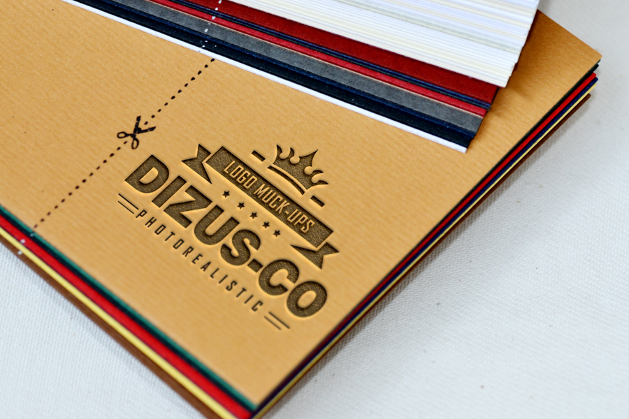 dizus-co-logo-design