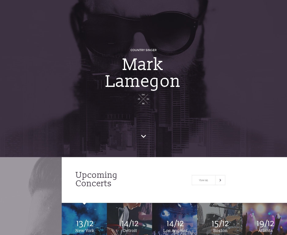 singer-premium-landing-page-template