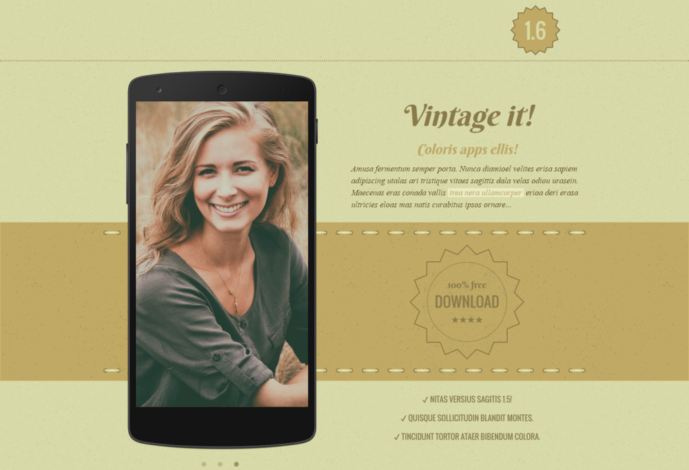 vintage-it-app-website-template