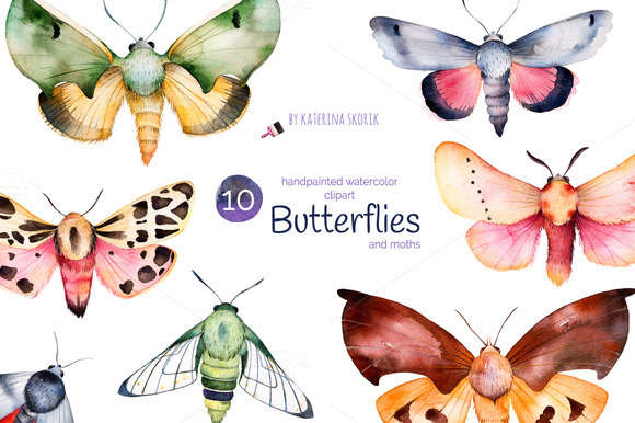 batterflies-moths-premium-illustration
