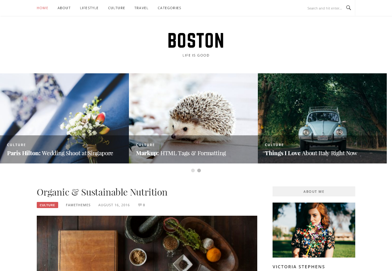 boston-free-wordpress-theme