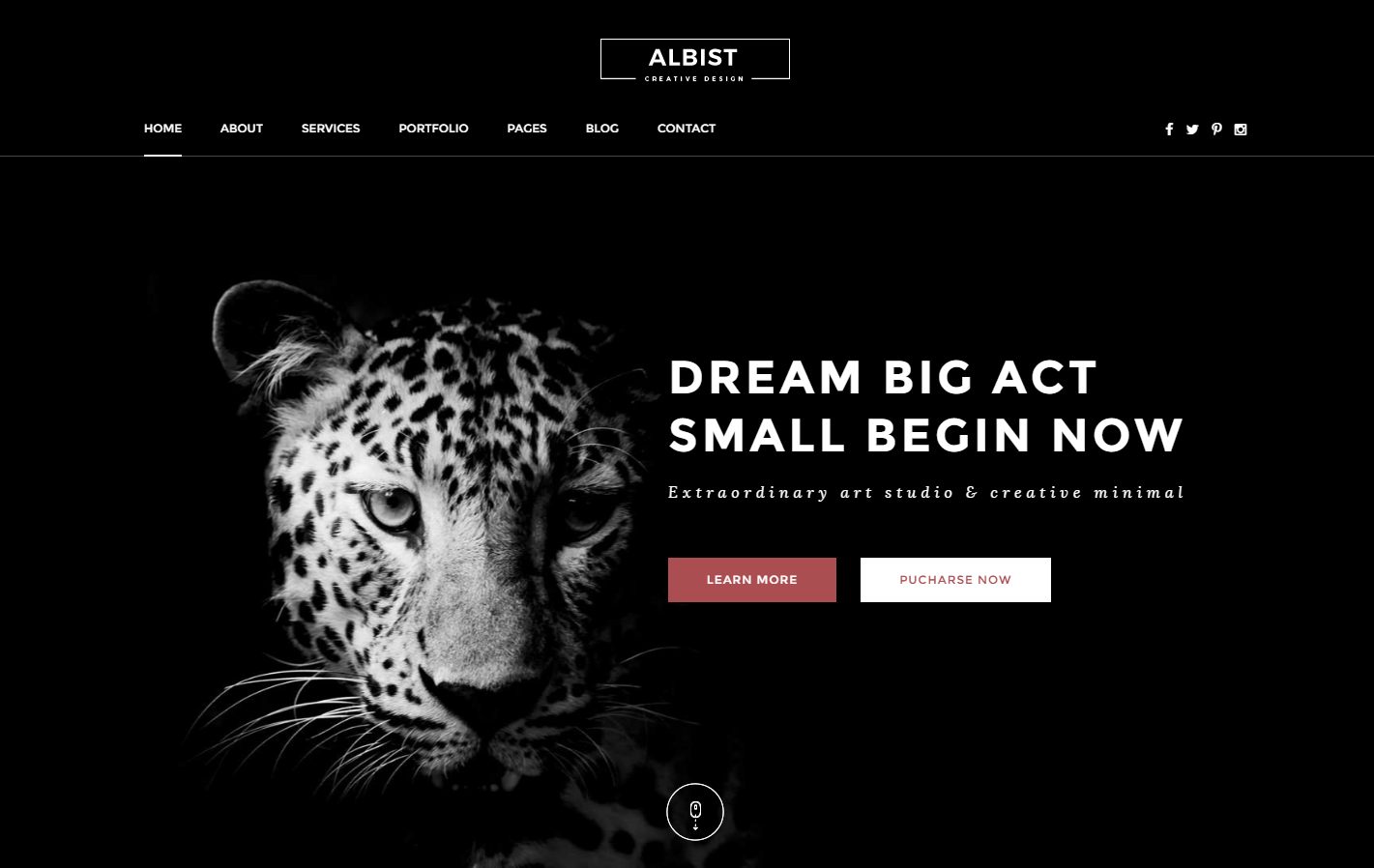 albist-premium-wordpress-theme