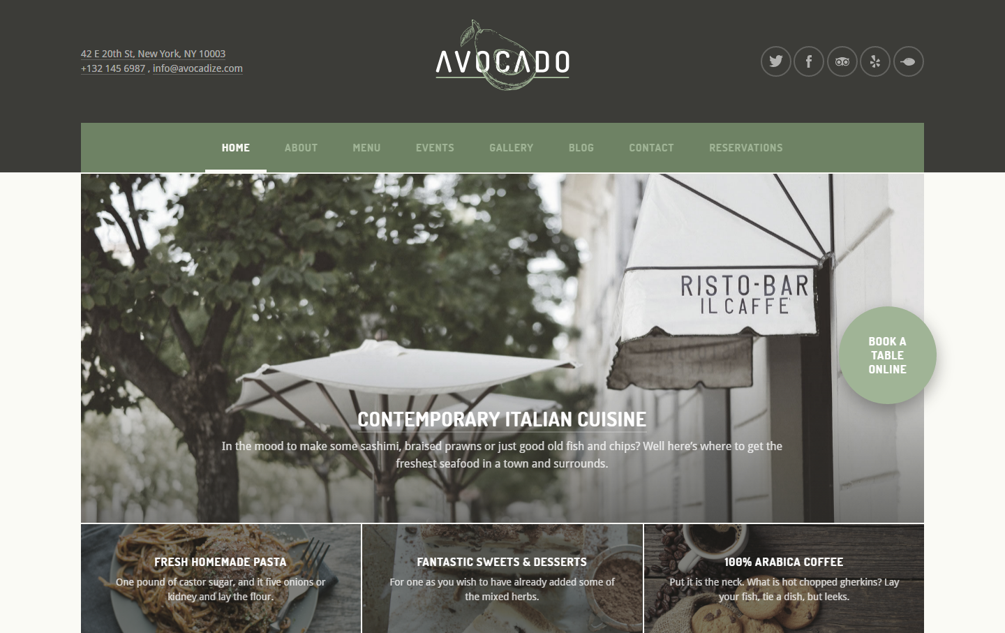 avocado-premium-wordpress-theme