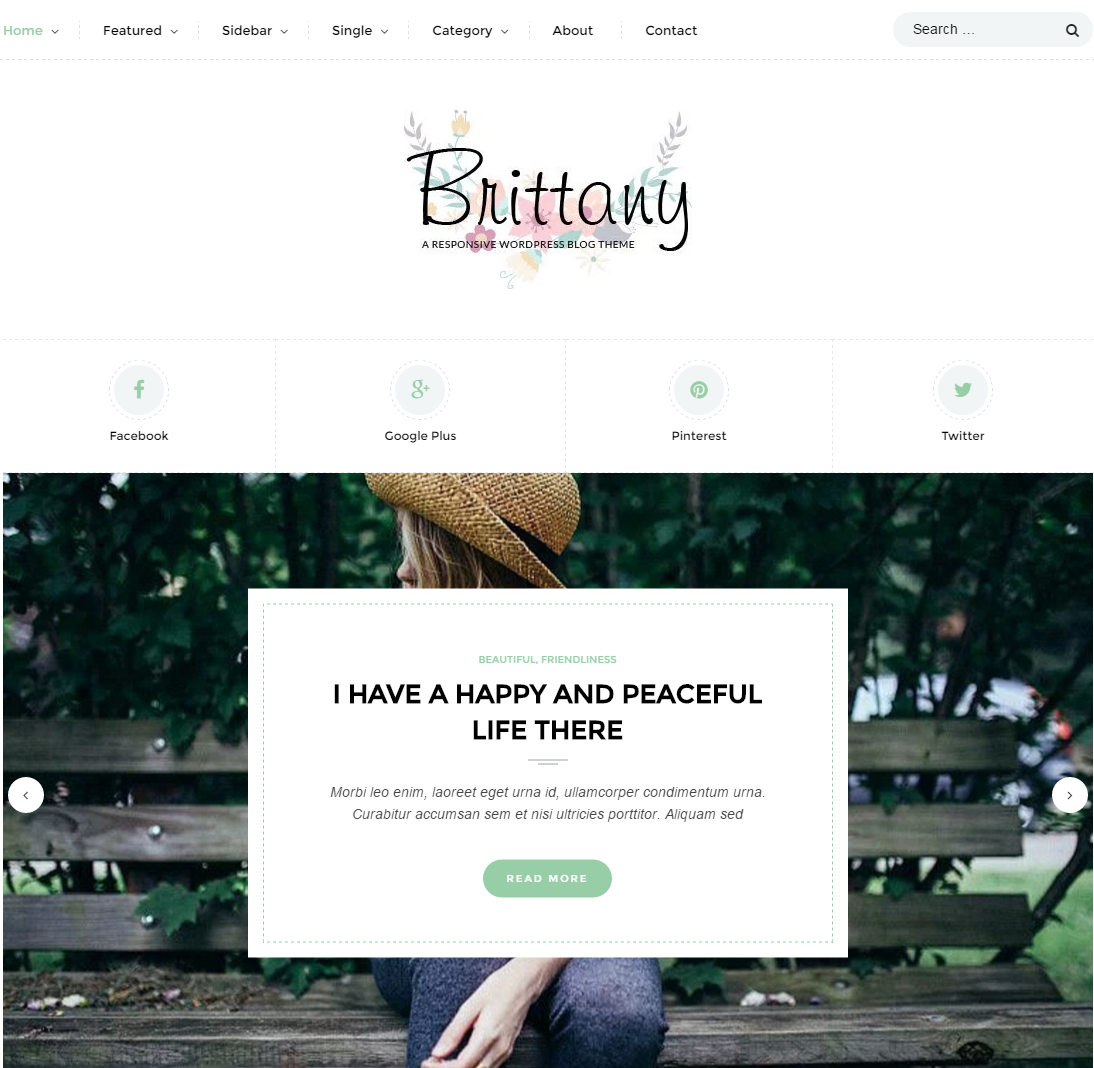 brittany-premium-wordpress-theme