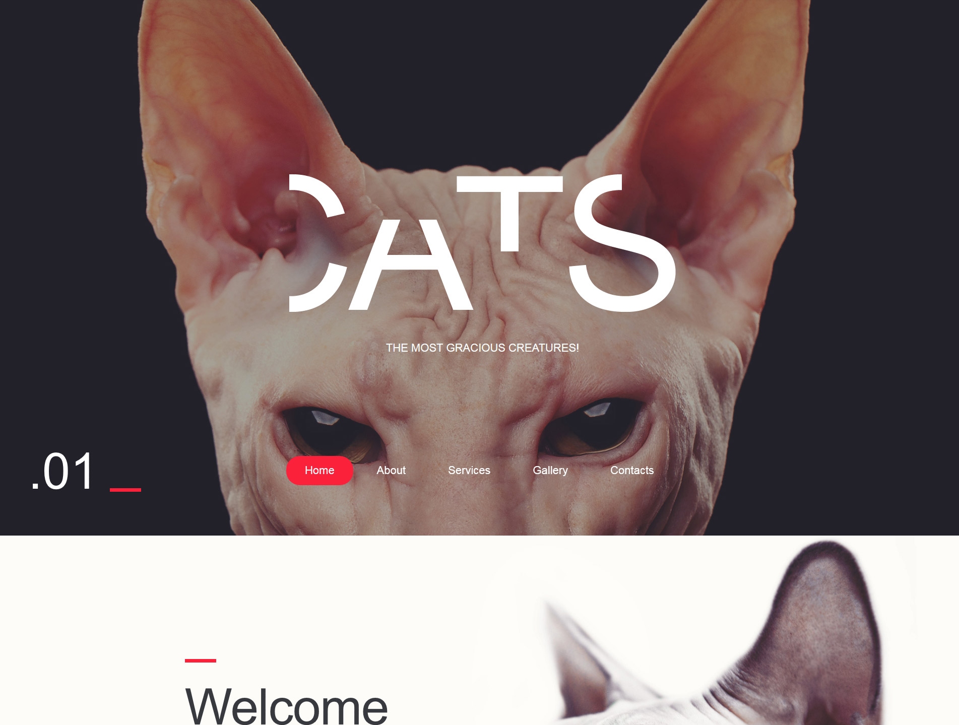 cat-premium-html-template