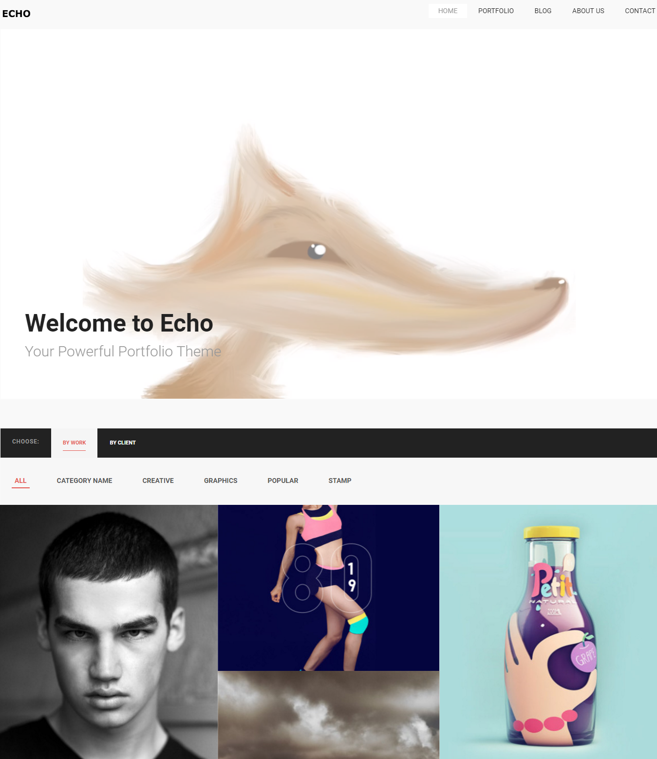 echo-premium-wordpress-theme