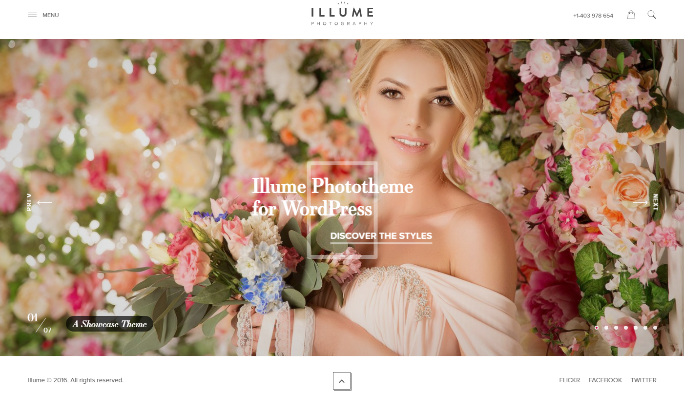 illume-premium-wordpress-theme