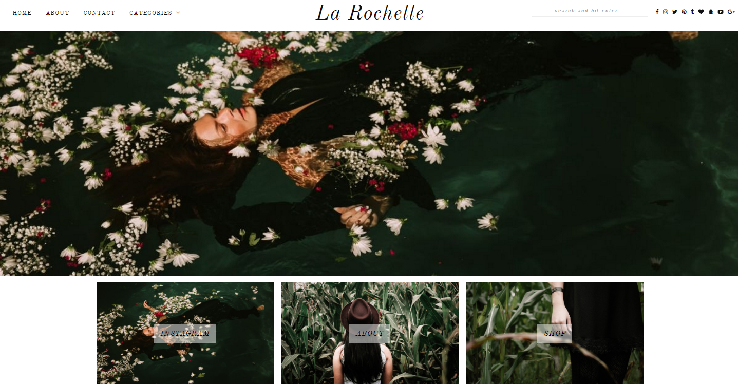 larochelle-premium-wordpress-theme