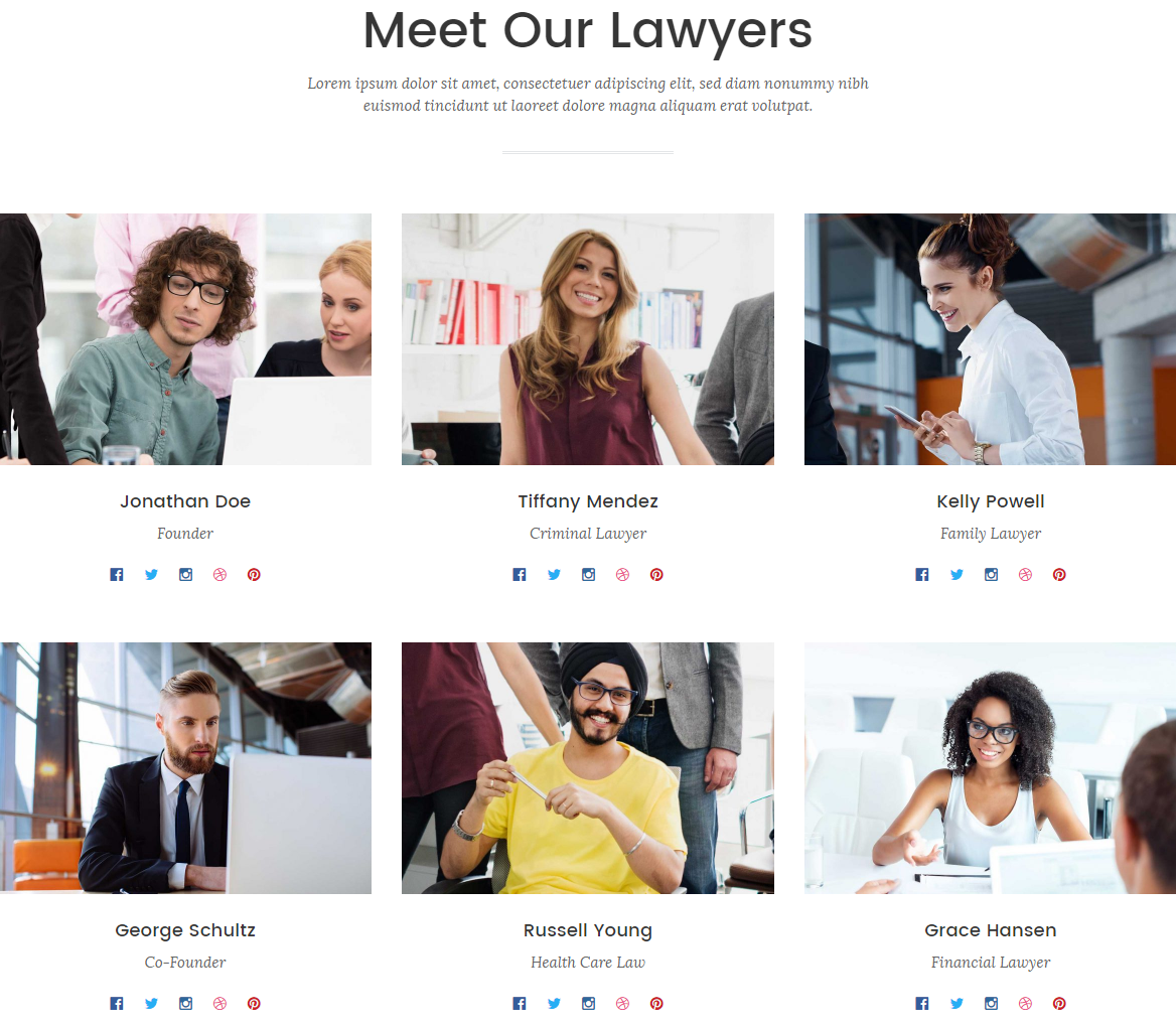 meet-our-lawyers