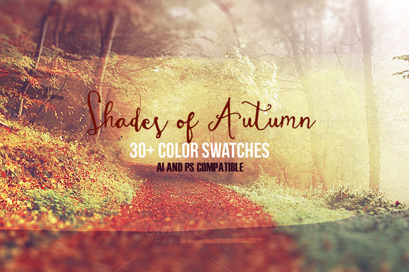 premium-shades-of-autumn