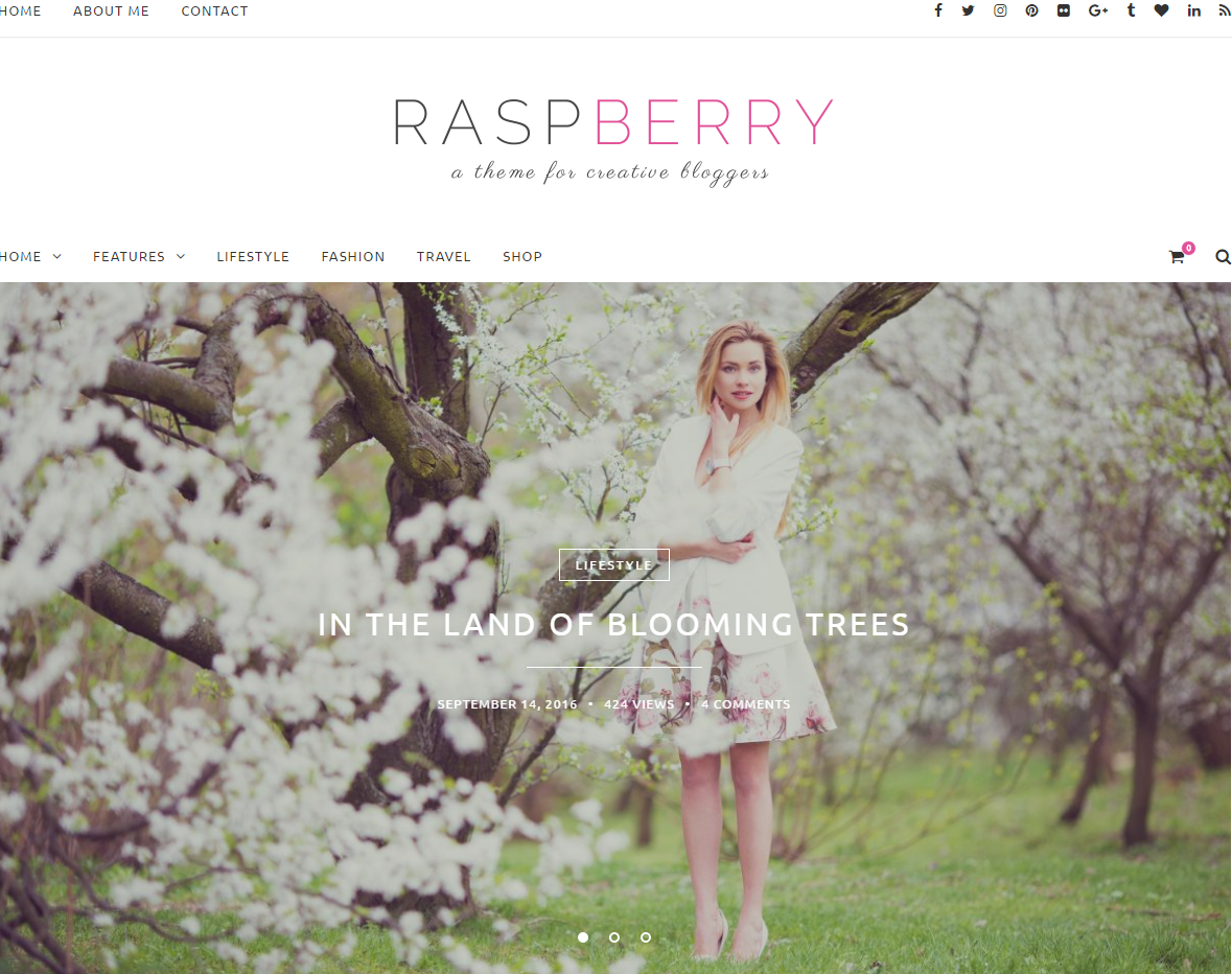 raspberry-premium-wordpress-theme