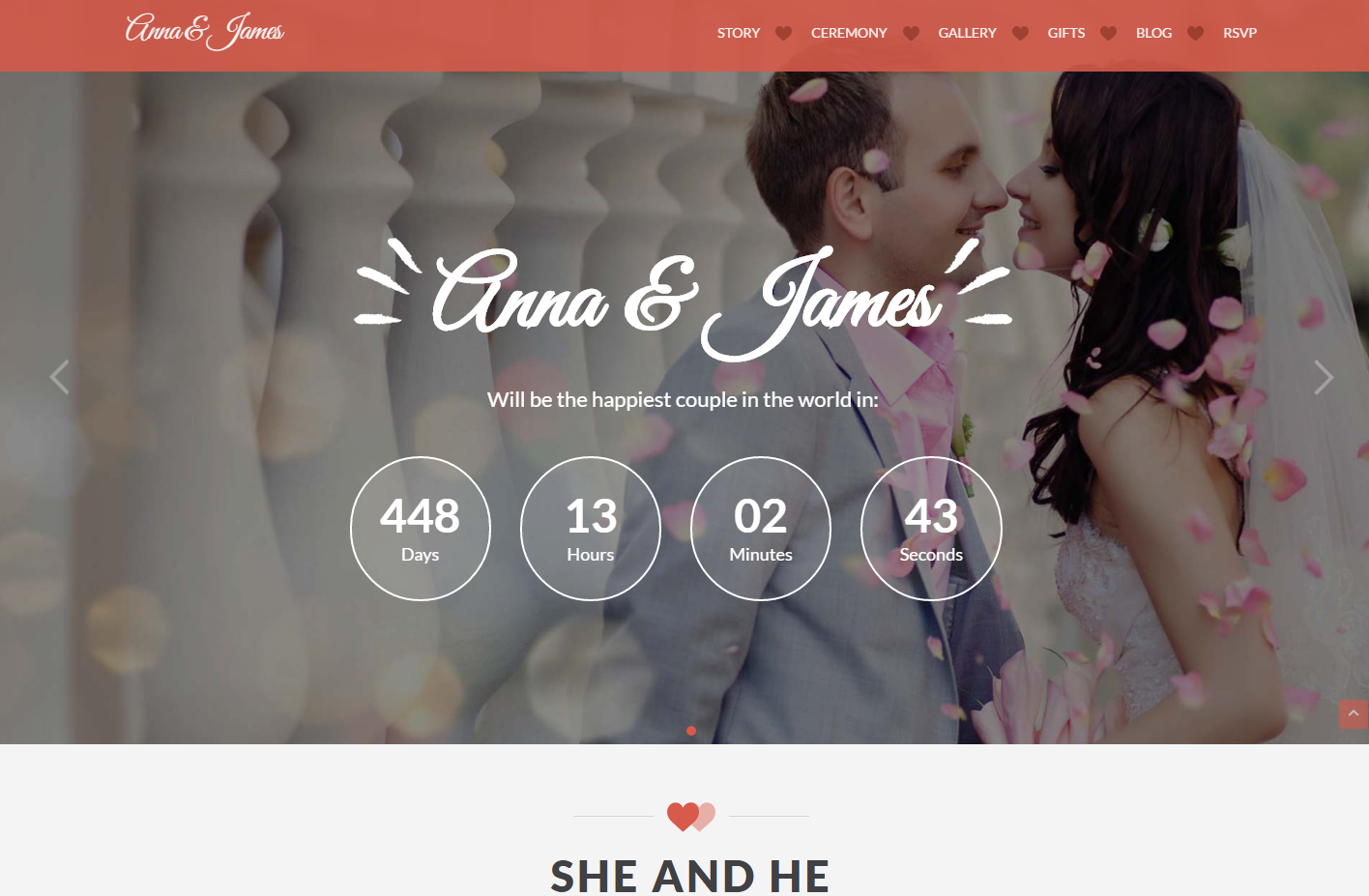 amore-premium-wordpress-theme