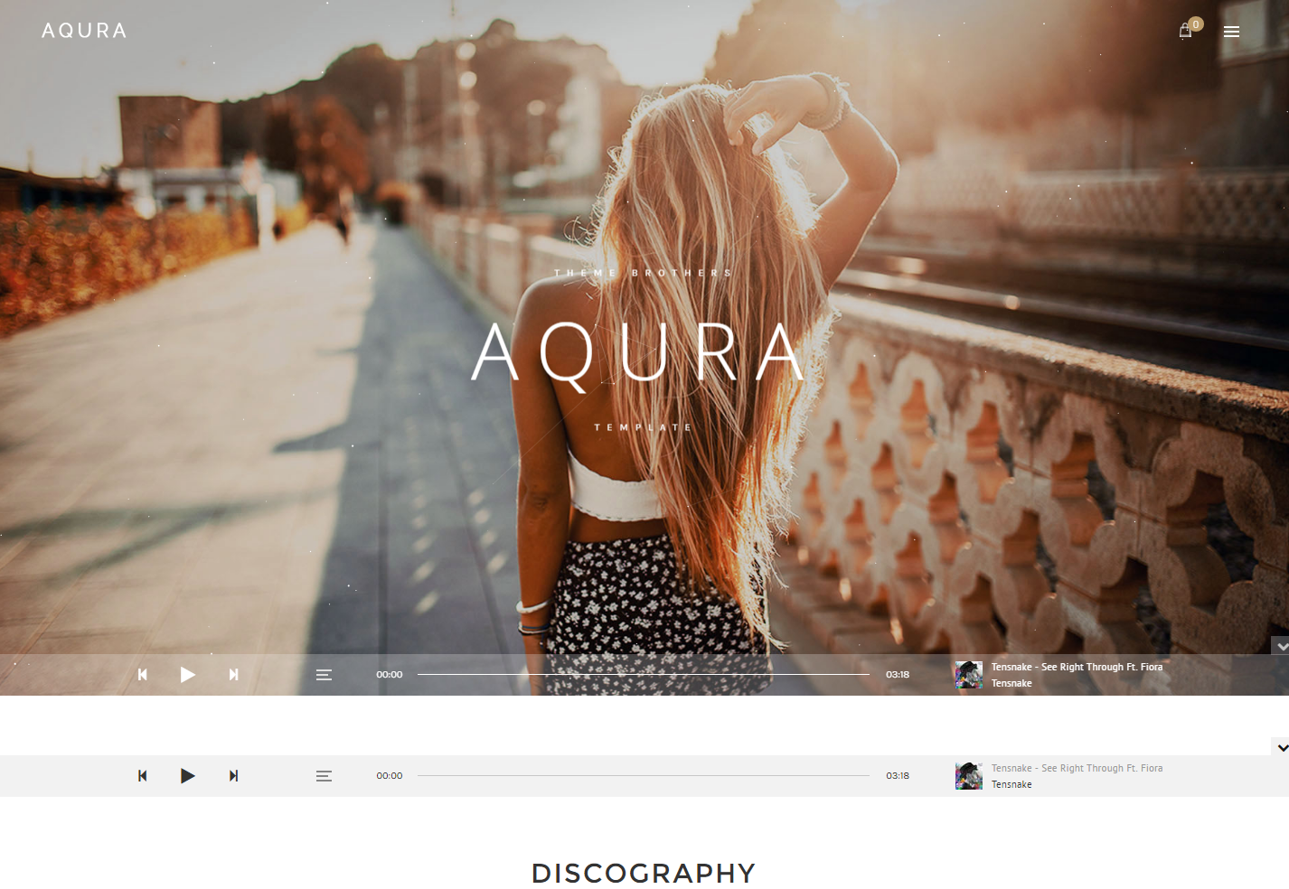 aqura-premium-wordpress-theme