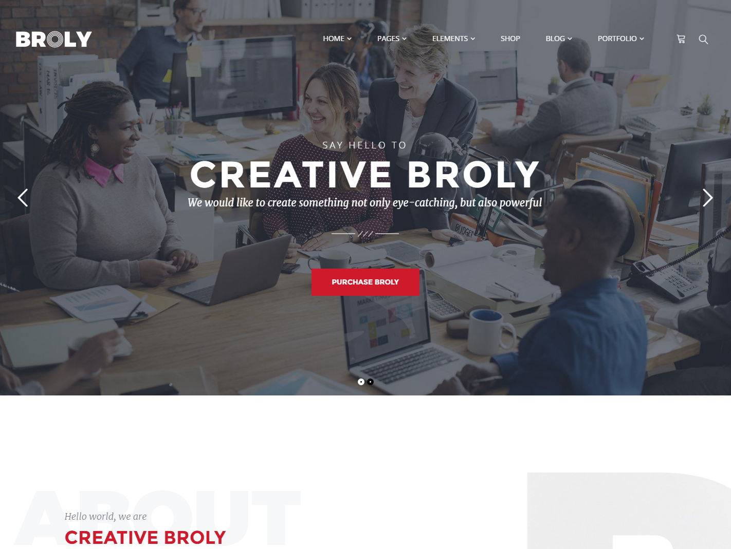 broly-premium-wordpress-theme