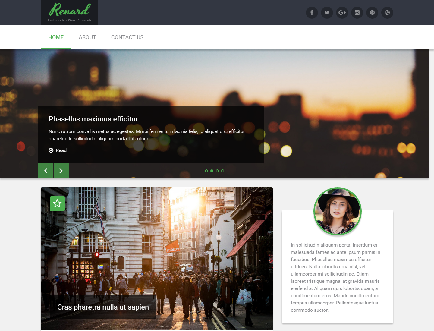 renard-free-wordpress-theme