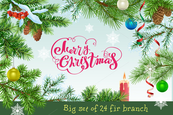 big-set-of-24-fir-branch-premium-vector