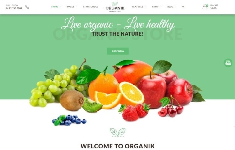 organik-premium-wordpress-theme