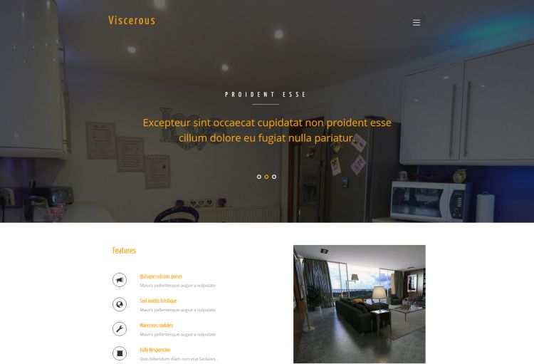 viscerous-free-html-template