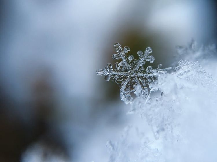 Snow Flakes Macro Photography - Free Stock Photo