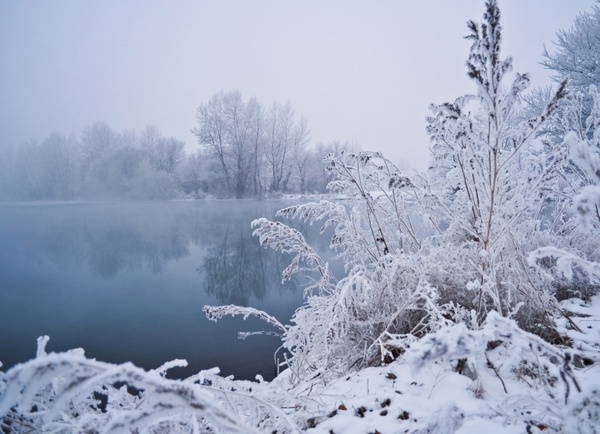 Winter Fog Free Stock Photo