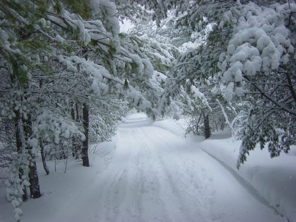 Winter Landscape Free Stock Photo