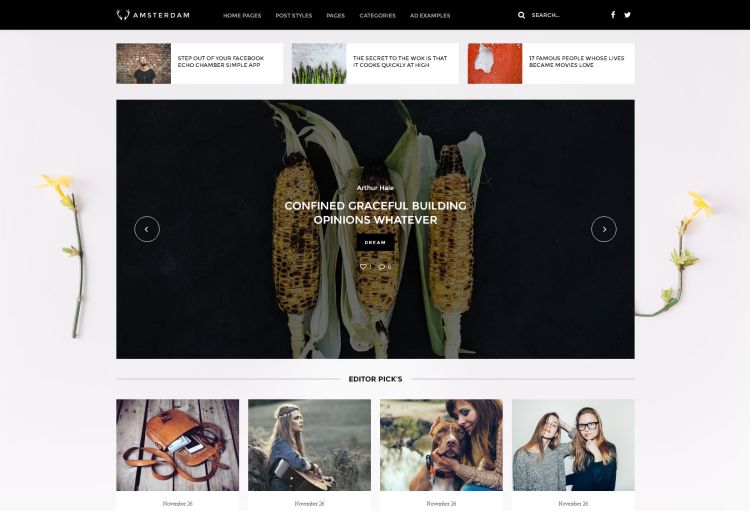 amsterdam-premium-wordpress-theme