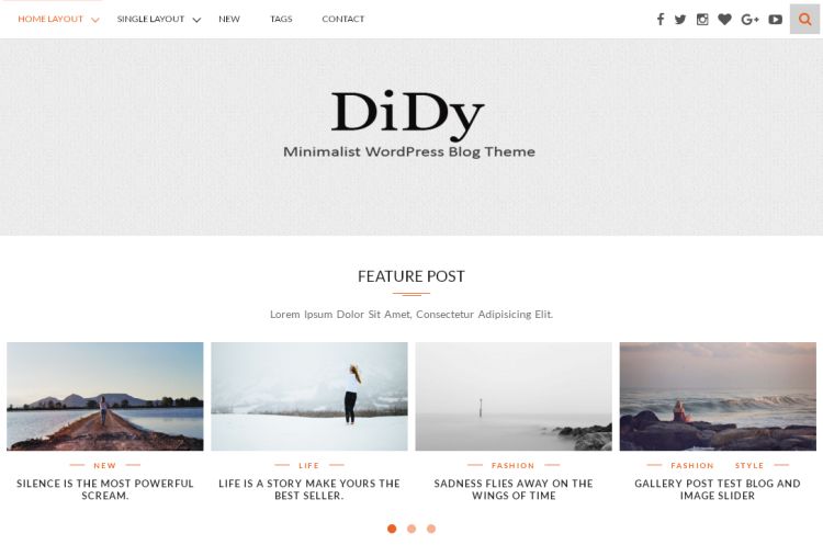 didy-premium-wordpress-theme