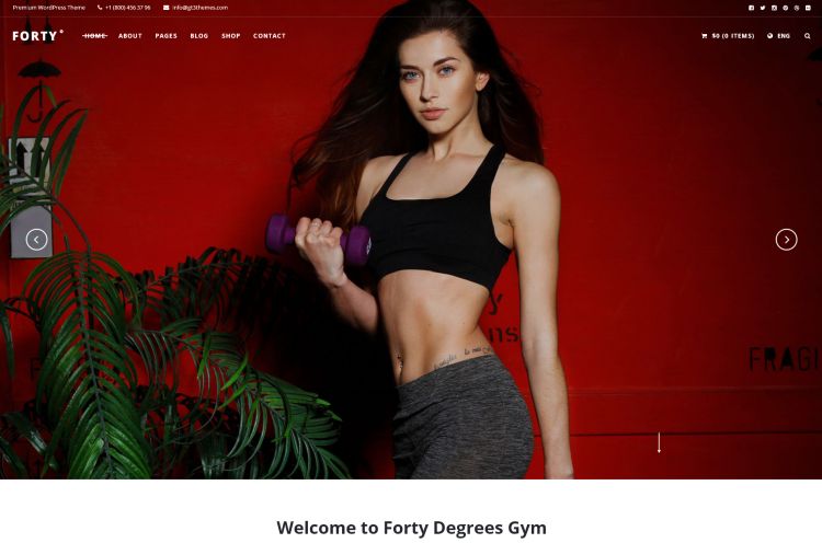 forty-premium-wordpress-theme