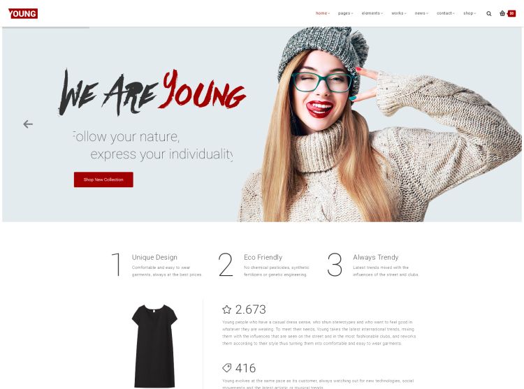 young-premium-wordpress-theme