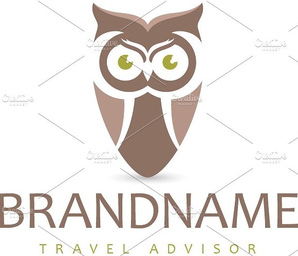 Owl Pointer Logo