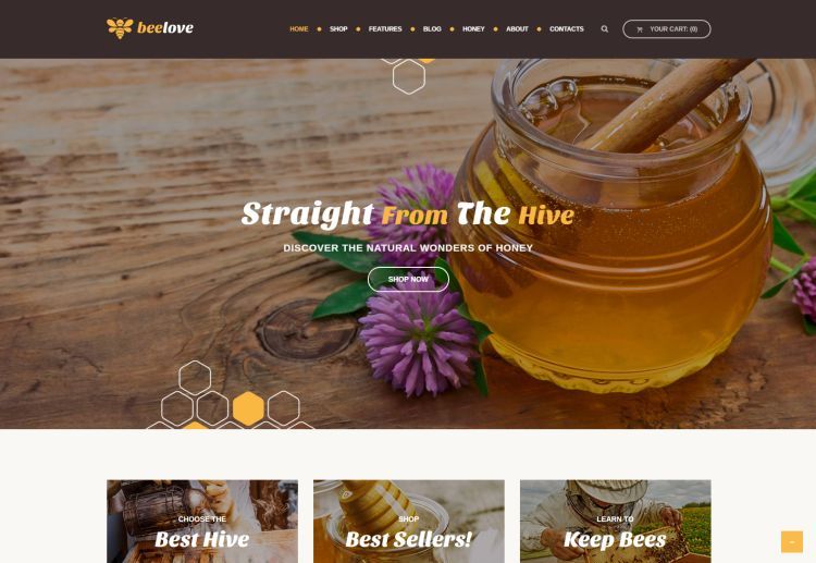 beelove-premium-wordpress-theme