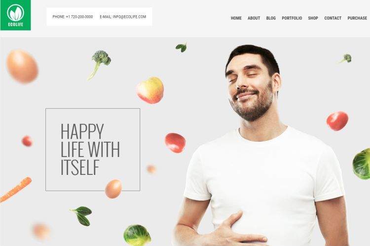 ecolife-premium-wordpress-theme