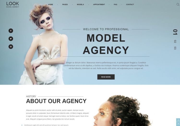 look-premium-wordpress-theme