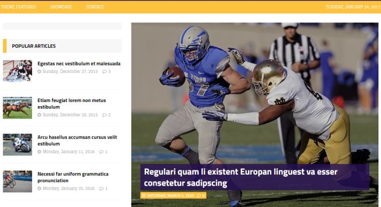 mhsportsmagazine-free-wordpress-theme