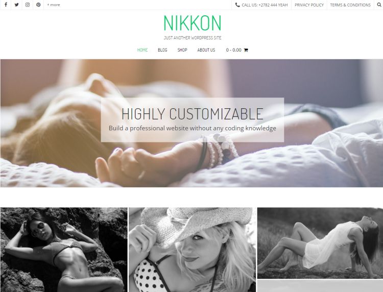 nikkon-free-wordpress-theme