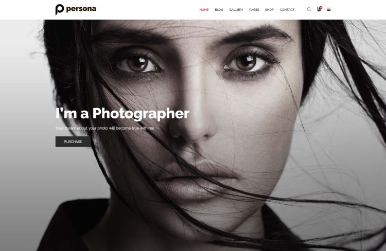 persona-premium-wordpress-theme