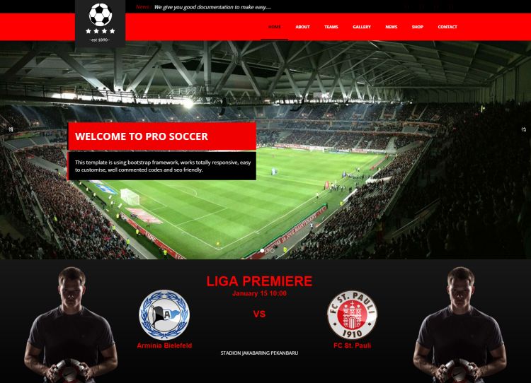 pro-soccer-premium-wordpress-theme