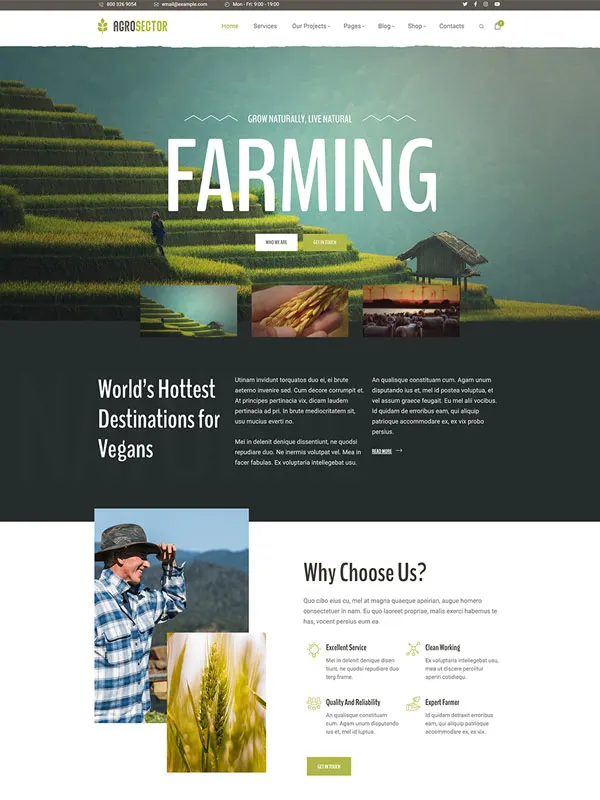 Agrosector – Agriculture & Organic Food WordPress Theme