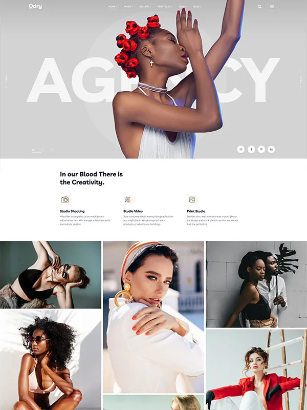 Odry Modern Photography WordPress Theme